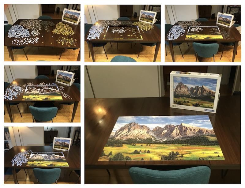 My completed puzzle in 2020